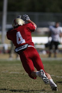 中国足球国家队备战世界杯预选赛紧张有序，中国足球队世界杯预选赛结果