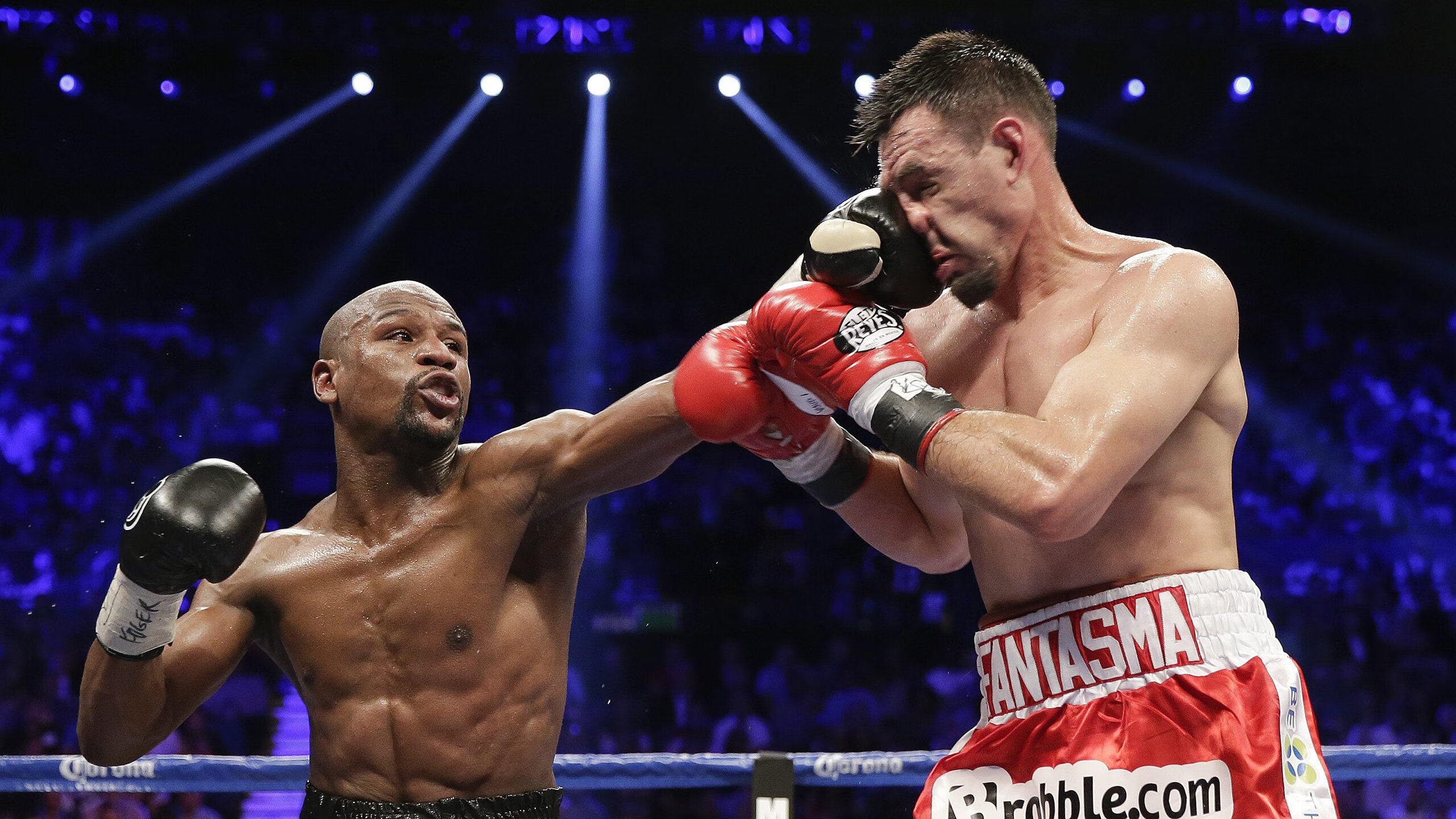 从速度到节奏的转型，樊振东经历了什么？，樊振东zlc