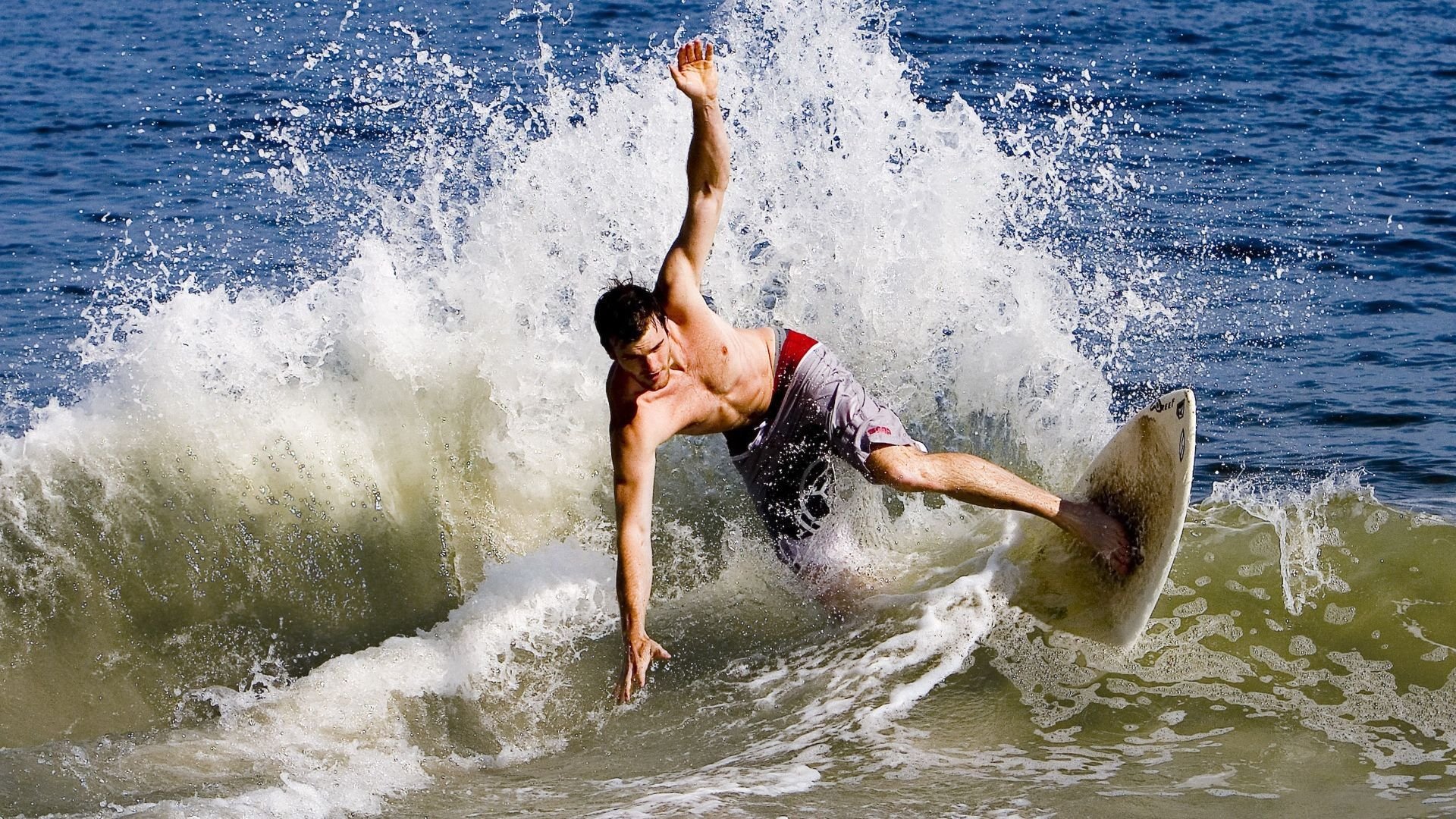巴菲特放弃王传福，背后原因引关注，巴菲特传内容简介