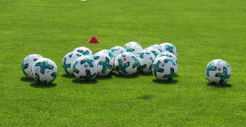 德甲球场上座率回升反映球迷热情不减，德乙上座率